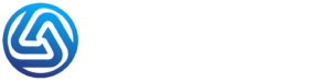 WELINK-NIGERIA footer logo